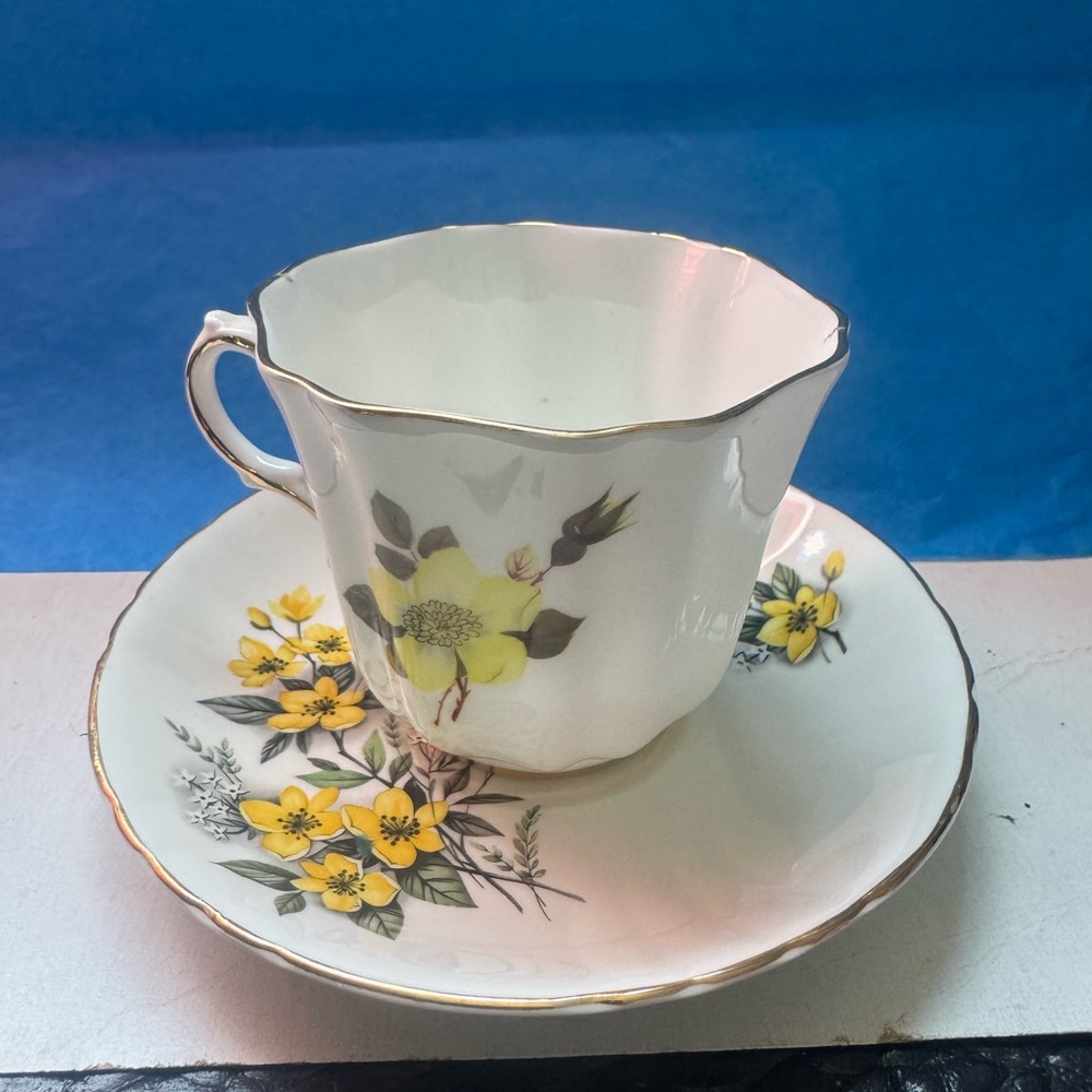 Cup + Saucer Yellow Flower With Gold Trim Royal Grafton Fine Bone China Tea